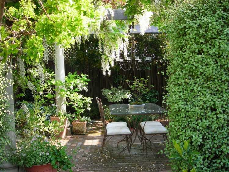 Pequenos jardins-design-plantas trepadeiras-móveis de jardim