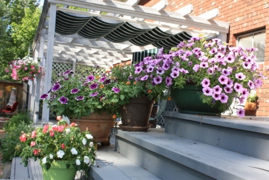 Espaço do sistema de organização das flores do jardim dos terraços
