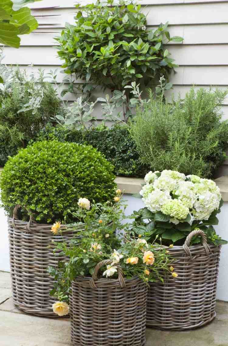 small-garden-design-shabby-look-baskets-roses-hydrangea-buxo-ball