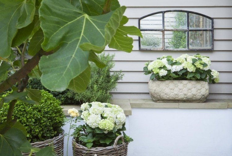 projeto de jardim pequeno-gasto-vintage-decorações-hortênsias brancas