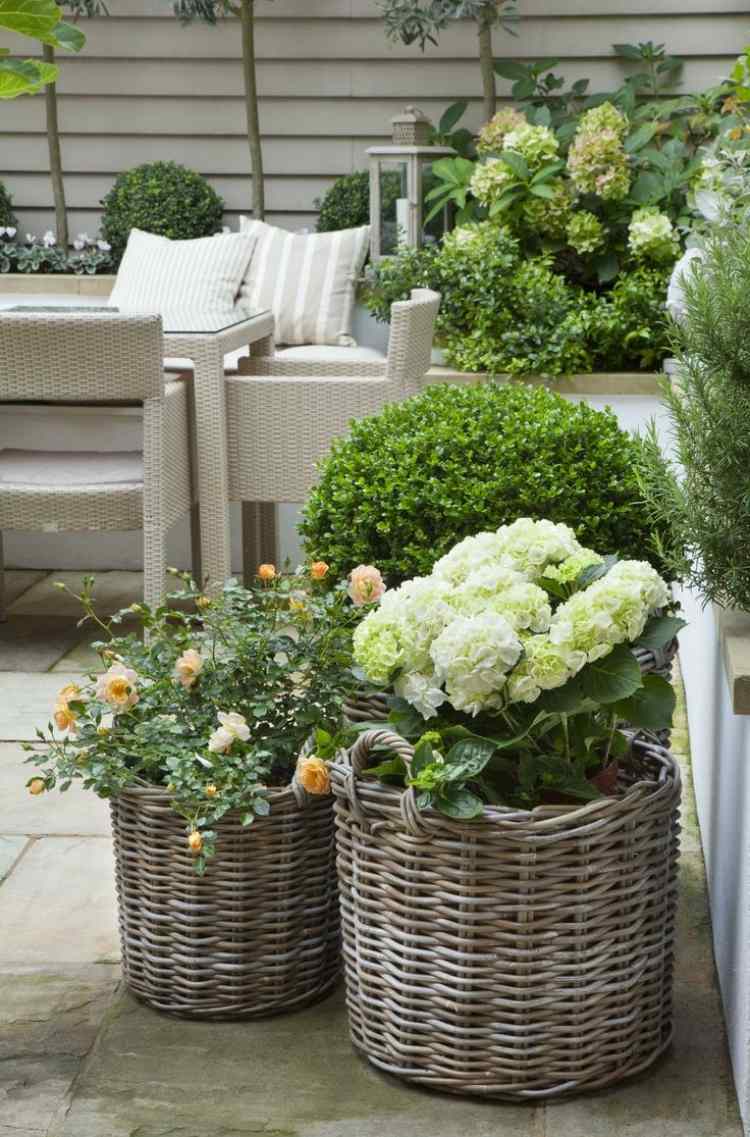 pequeno-jardim-design-gasto-grande-cesta-hortênsia-rosas-caixa-árvore
