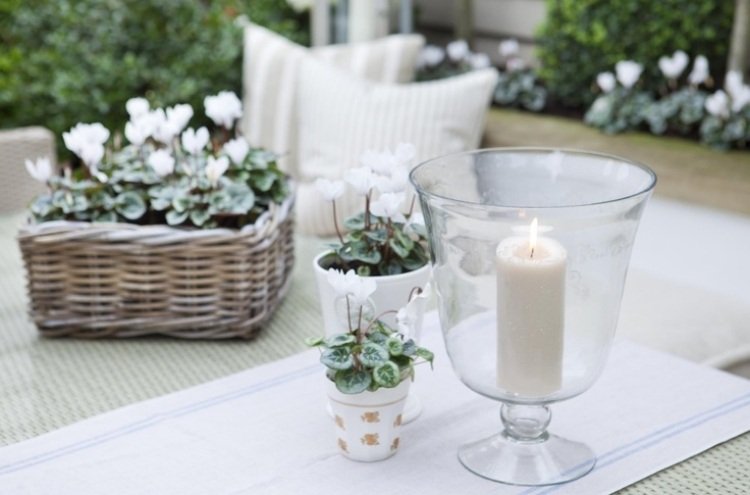 pequeno-jardim-design-gasto-decorações-branco-ciclâmen-lanterna