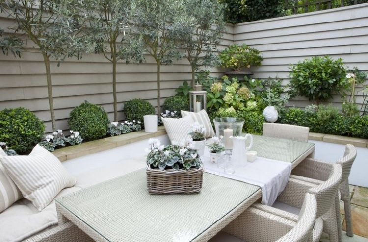 pequeno jardim design-planta-ideias-caixa-árvore-ciclâmen-oliveira