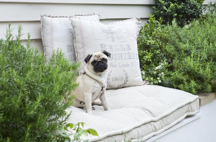 small-garden-design-shabby-vintage-pillow-decoration-rosemary