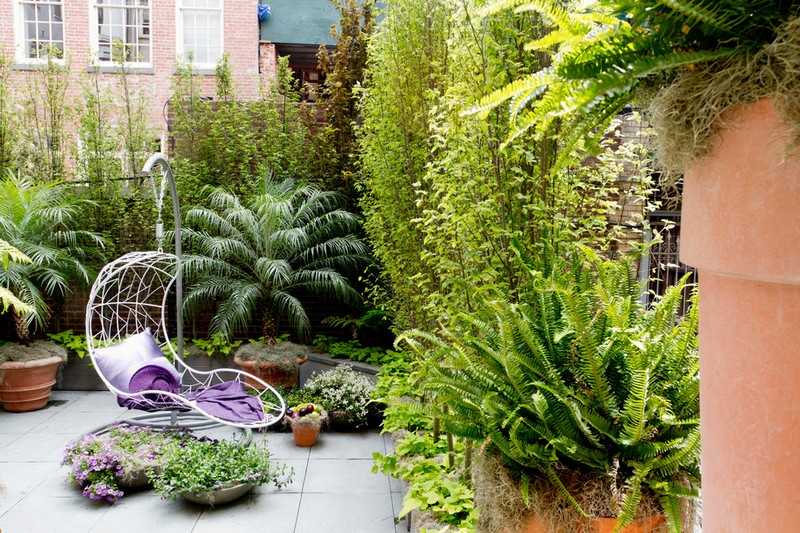 Crie uma espreguiçadeira com um pequeno jardim aconchegante com plantas