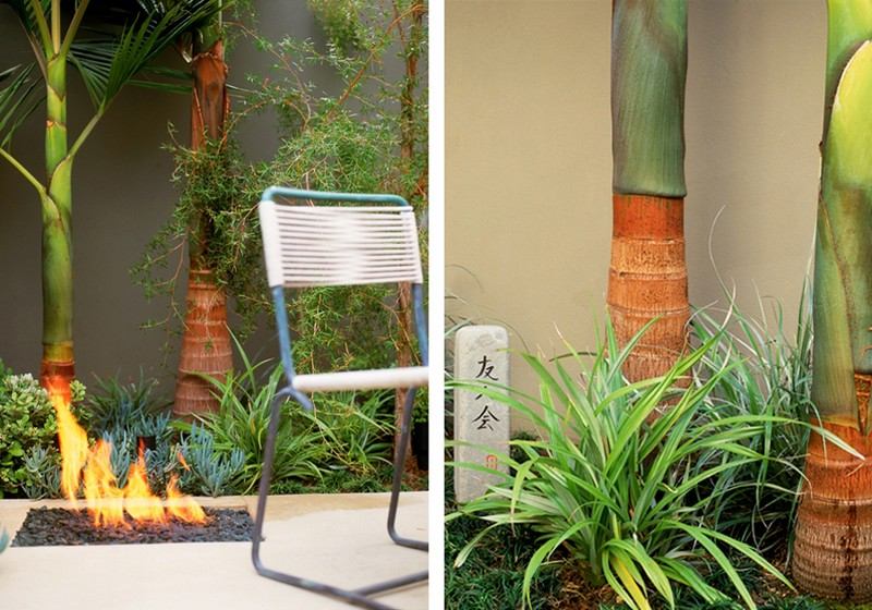 Pequeno-jardim-quintal-exótico-lareira-plantas