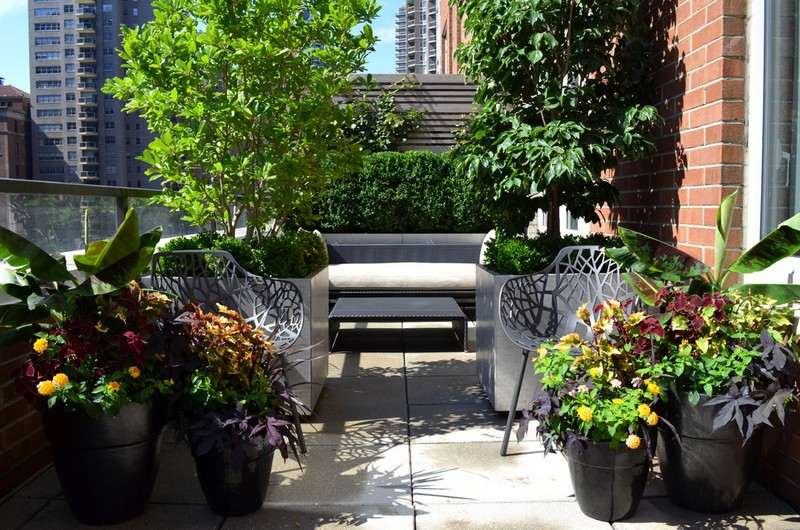 Faça-pequeno-jardim-plantas-árvores-varandas