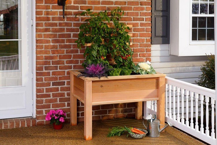 Mesa cama elevada varanda-madeira-vegetais-spaler-repolho-tomates