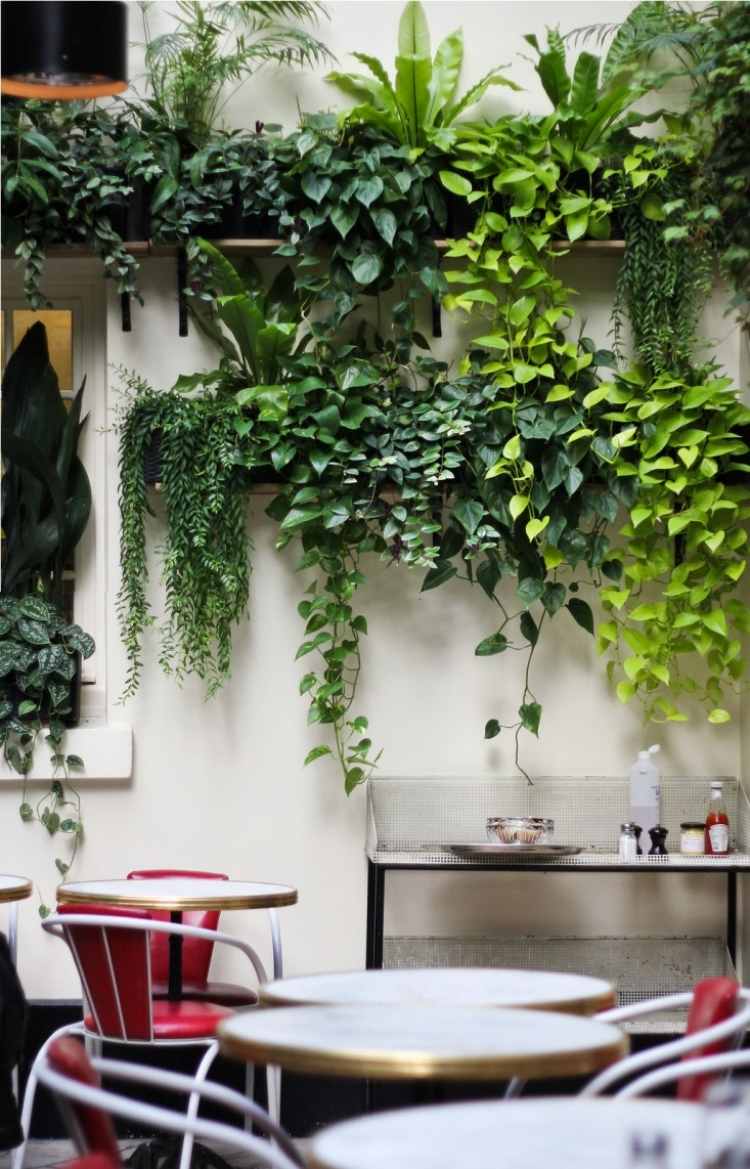plantas trepadeiras-varanda-terraço-apartamento-cadeiras-mesas-verde-fresco