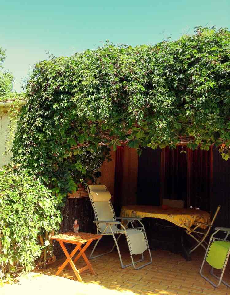 plantas trepadeiras-varanda-terraço-telhado-sombra-espreguiçadeiras-cadeiras-verão