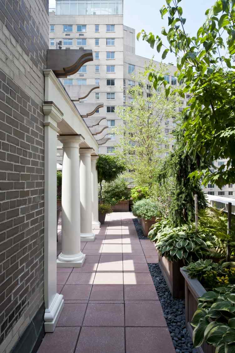 plantas trepadeiras-varanda-terraço-telhado-terraço-concreto-telhas-cidade-pilares