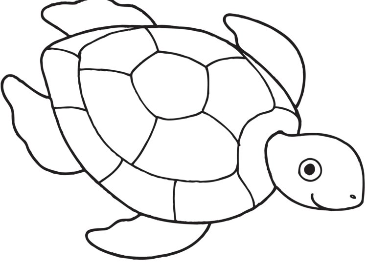 Modelo para impressão de tartaruga