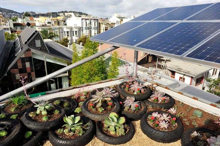 construção ecológica sustentabilidade exemplos de construção arquitetura sustentável projeto sustentável plantas de terraço na cobertura painéis solares