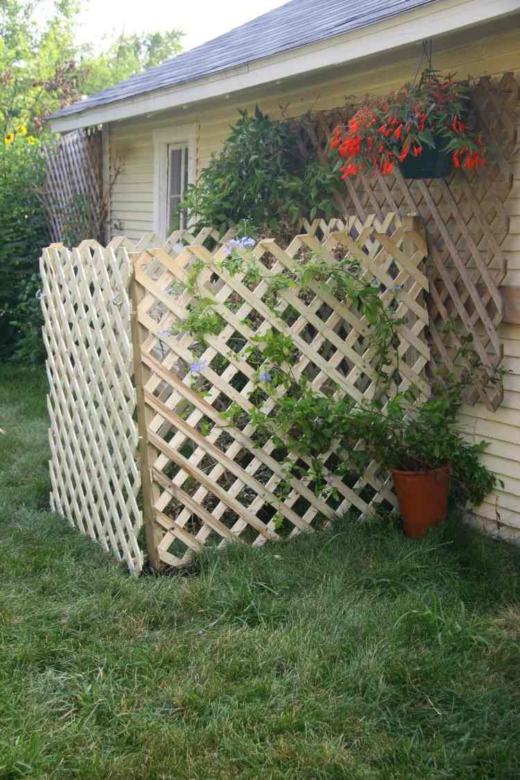 treliça de madeira com trepadeiras no jardim como tela de privacidade para resíduos orgânicos