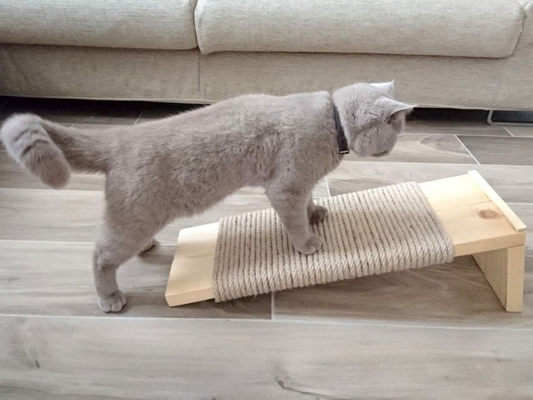 scratch board cat construa você mesmo com tábuas de madeira e corda