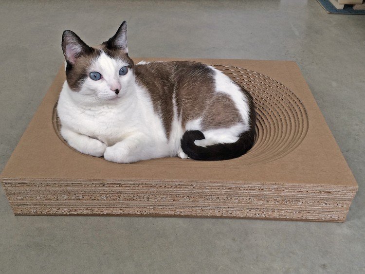 cama simples para gato coçar móveis de papelão ondulado