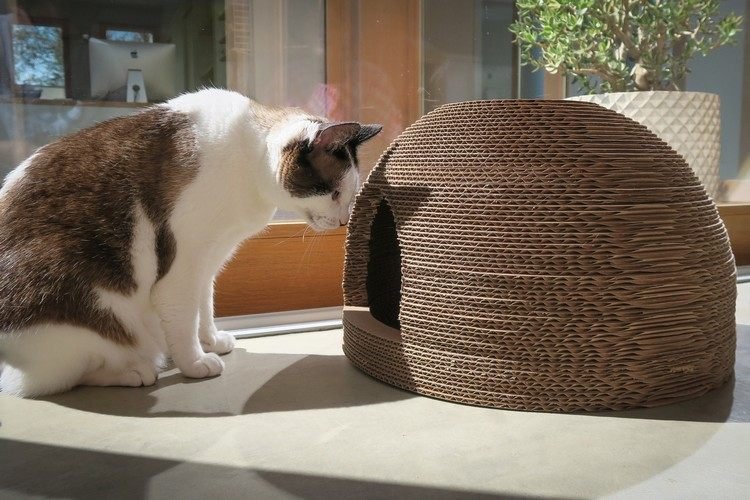 lixeira simples para papelão ondulado para gatos