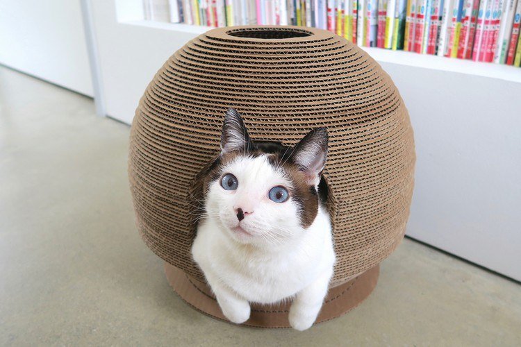 Móveis para arranhões para gatos feitos de papelão ondulado lixeira faça você mesmo