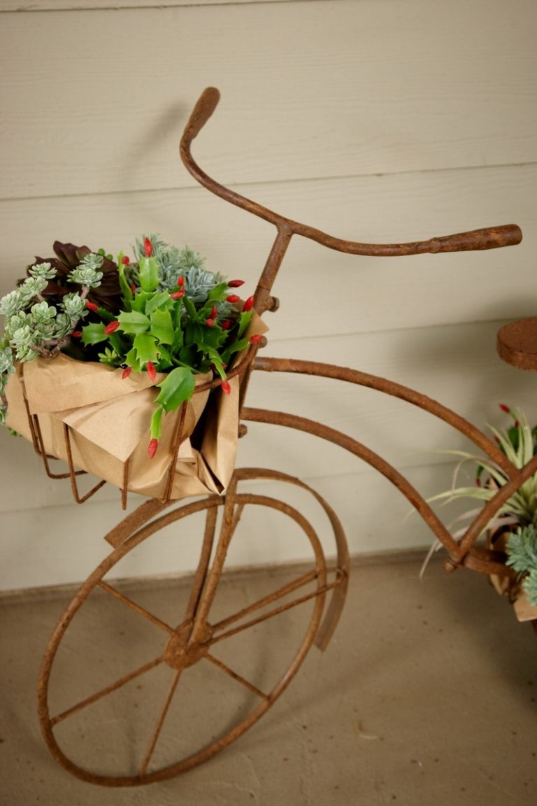 idéias criativas para o jardim suculentas design ao ar livre metal aço inoxidável