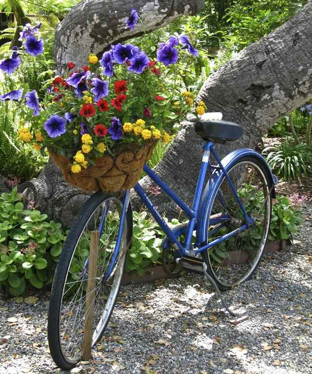 Faça você mesmo a decoração do jardim com flores violetas da primavera