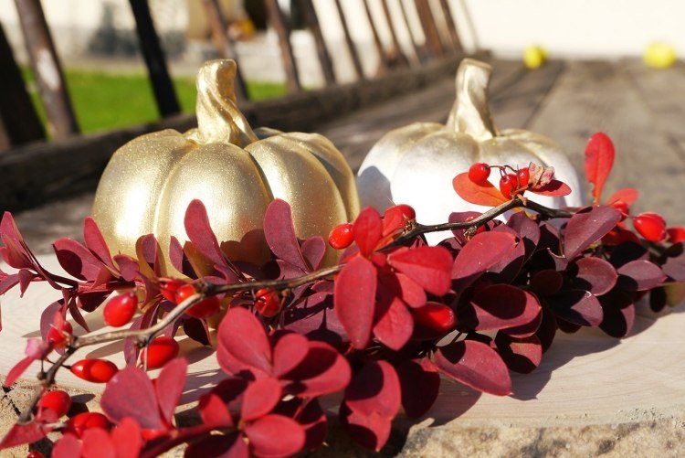 outono-decoração-idéias-abóboras-pequenas-plantas-vermelho-decorativas