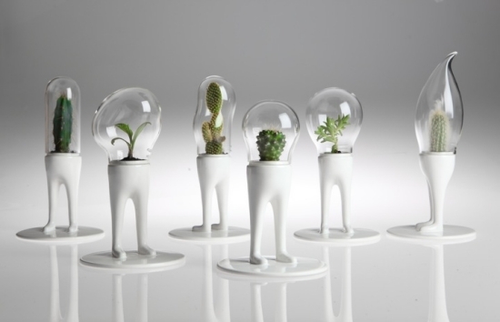 mini terrário ideias criativas design e decoração de móveis