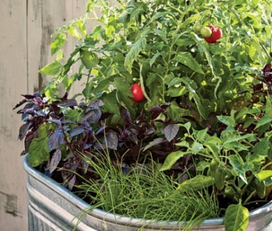 Horta montada na varanda tomate cereja