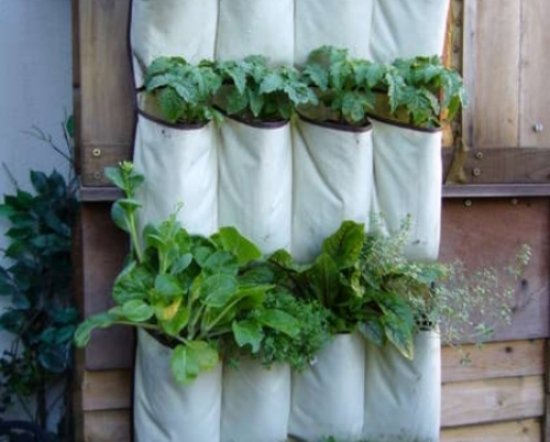 Horta estendida em sacos de tecido de varanda