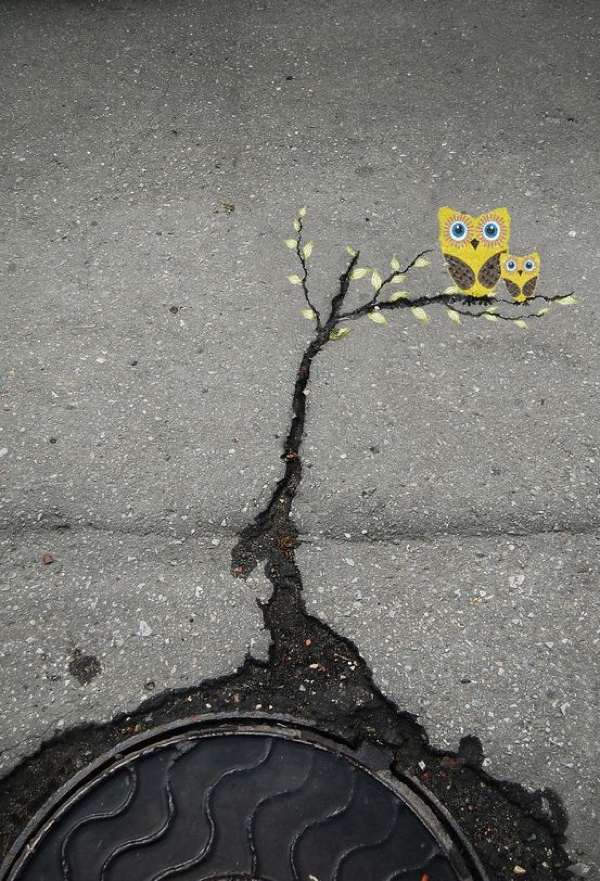 Owl Street Painting Street Art