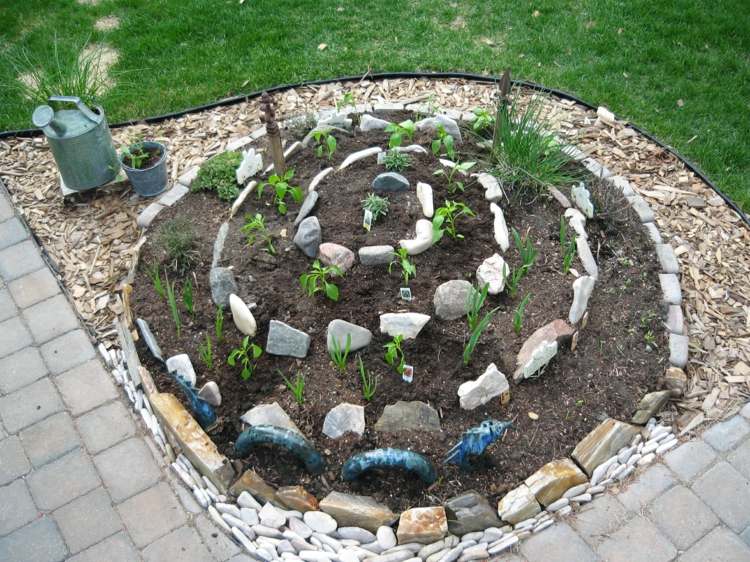 erva-espiral-construção-pedra-lajes-ideia-estimulação-planta-ideias