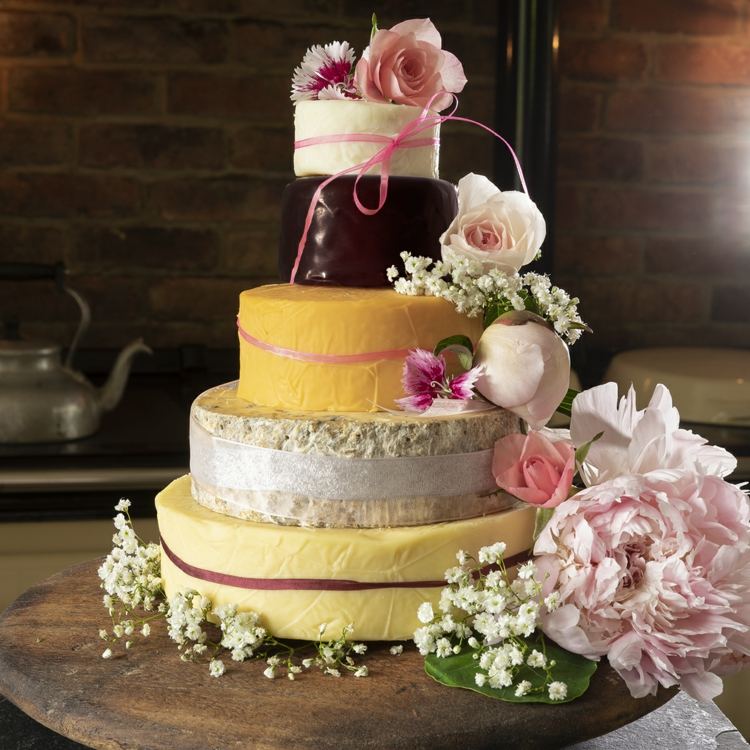 Belo design com queijo amarelo e bordeaux