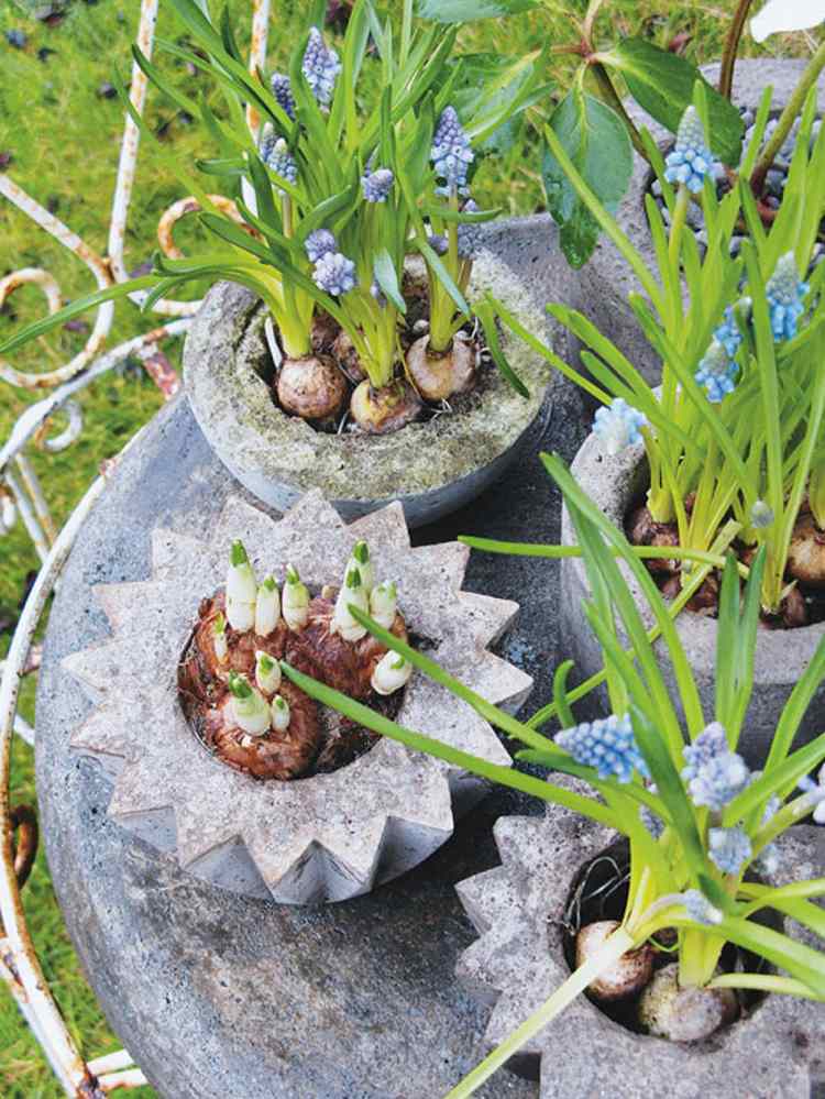 bolo-assar-molde-plantar-bolo-moldes-decoração de jardim-concreto-flores de primavera