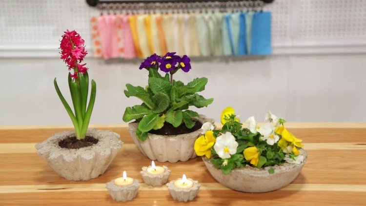bolo-assar-molde-plantar-bolo-moldes-decoração-jardim-primavera-flores-vasos de flores-concreto