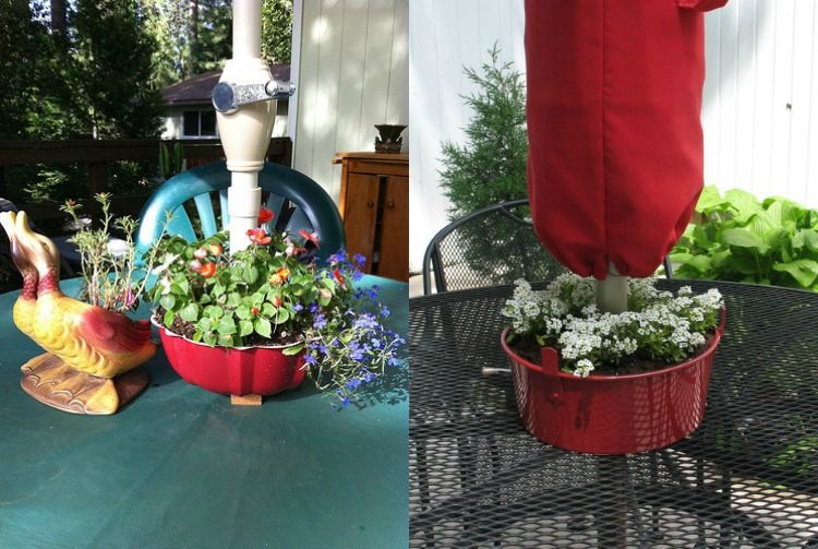 bolo-assar-molde-plantar-bolo-moldes-decoração de jardim-vermelho-guarda-sol-ao ar livre