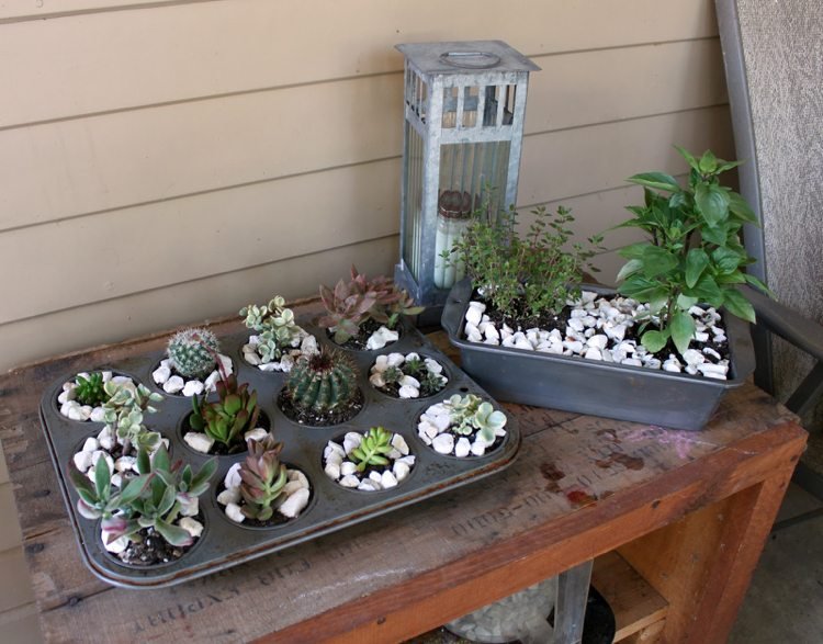 Forma para bolos - plantas-moldes para bolos-decoração de jardim-suculentas-bandeja de muffins
