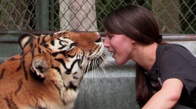 tigre-humano-comunicação-casa-mulher