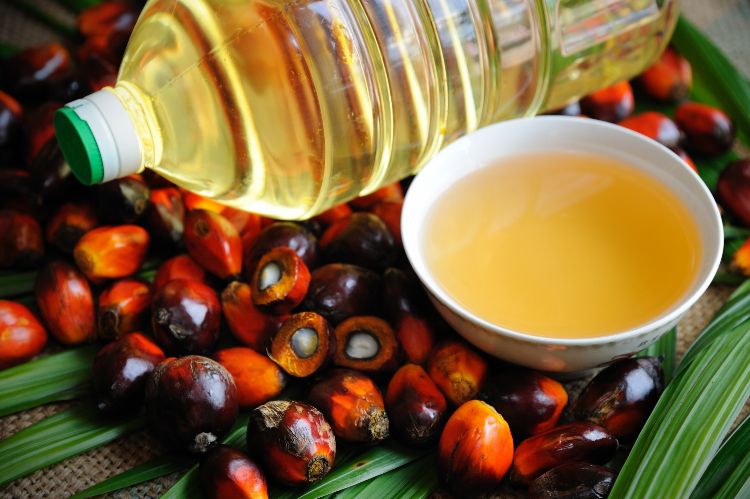 Fritar óleo de palma aquecer frutas folha de palma óleo de palma garrafa caneca tigela óleo