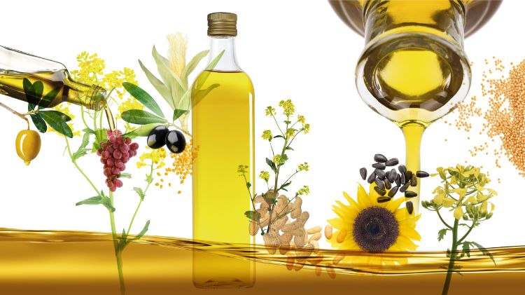 óleos vegetais plantas industriais produtos ingestão corpo saudável