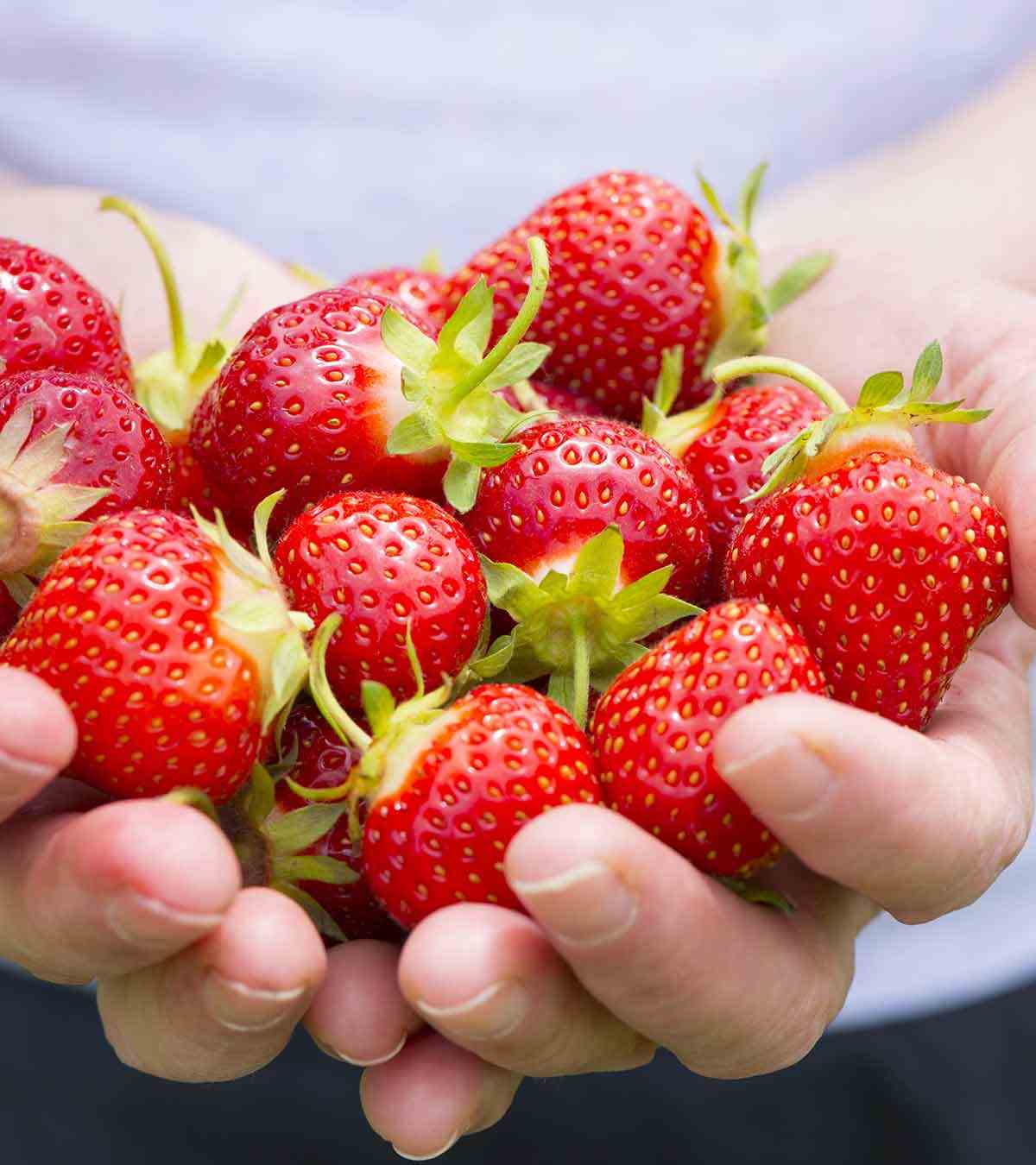 Valores nutricionais de morangos com baixo teor de carboidratos e perda de peso saudável