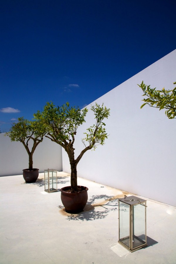 Decoração de hotel de luxo no terraço com flores e plantas exóticas