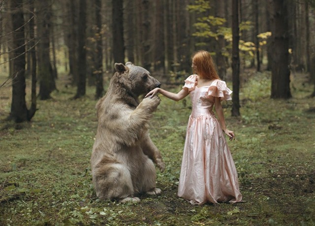 Vestido de princesa com urso na floresta