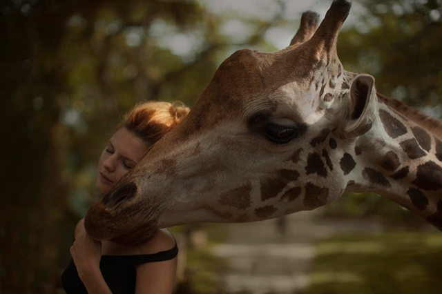 Girafa-e-mulher-no-parque