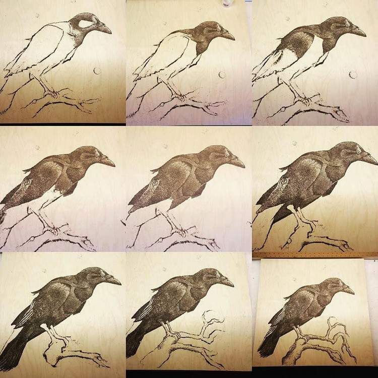 pintura-madeira-corvo-pássaro-passos-desenho-pólvora