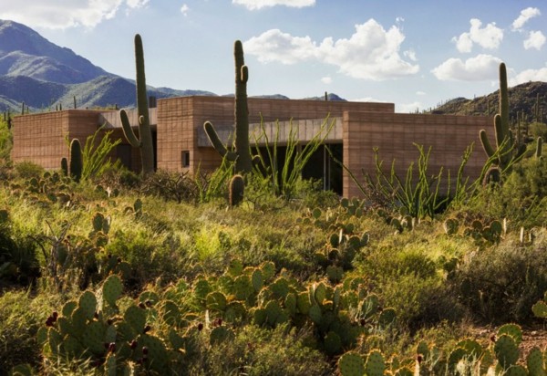 Arquitetura sólida de cactos no deserto de casas no Arizona