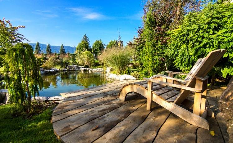 lindo jardim com lago para combater larvas de mosquitos