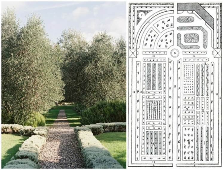 Projeto do jardim mediterrâneo-green-meadow-evergreen-plants-stones-garden plan