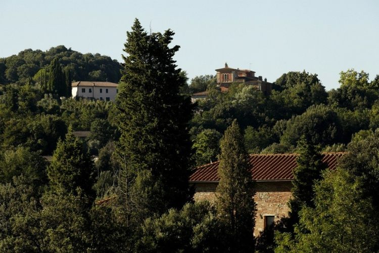 Paisagismo de jardim mediterrâneo-cipreste-telhas de terracota perenes