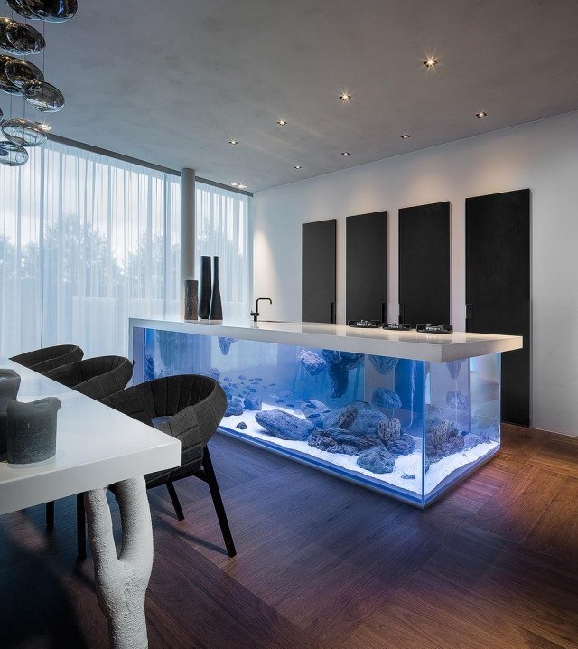 luxo-cozinha-equipamento-cozinha-ilha-minimalista-aquário integrado
