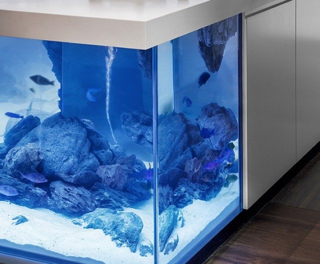 aquarium-built-in-kitchen-island-robert-kolenik-eco-chic-design-line