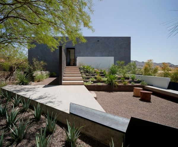 Casa de concreto no deserto cultiva a entrada da casa de cactos